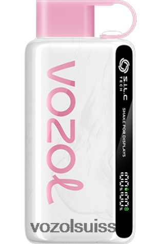 VOZOL Rechargeable - VOZOL STAR 9000/12000 RD4TL245 glace à la pêche
