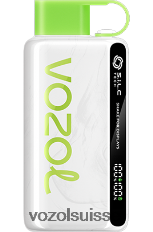 VOZOL Review - VOZOL STAR 9000/12000 RD4TL249 pastèque fraise