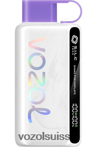 VOZOL Vape Avis - VOZOL STAR 9000/12000 RD4TL224 glace aux raisins