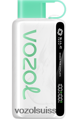 VOZOL Vape Avis - VOZOL STAR 9000/12000 RD4TL234 bubble-gum à la pastèque