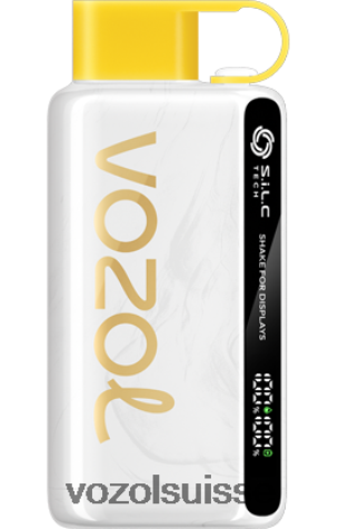 VOZOL Vape Store - VOZOL STAR 9000/12000 RD4TL246 glace à l'ananas et à la noix de coco