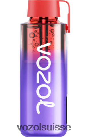 VOZOL Berne - VOZOL NEON 10000 RD4TL2242 glace aux mûres