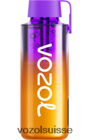 VOZOL Rechargeable - VOZOL NEON 10000 RD4TL2235 Baies mélangées