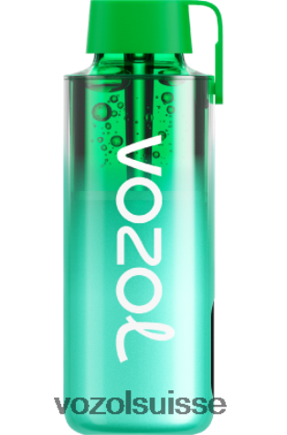 VOZOL Review - VOZOL NEON 10000 RD4TL2229 menthe de Miami
