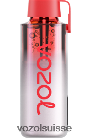 VOZOL Vape Avis - VOZOL NEON 10000 RD4TL2244 glace aux cerises