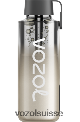 VOZOL Vape Price - VOZOL NEON 10000 RD4TL2230 tempête de mûres