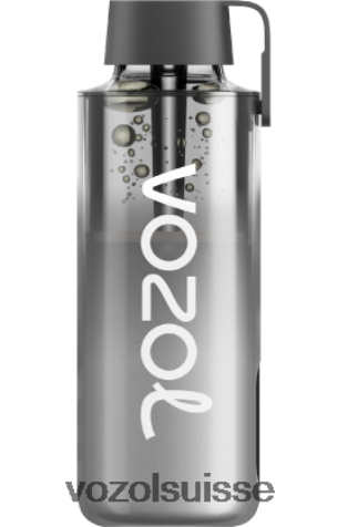 VOZOL Vape Price - VOZOL NEON 10000 RD4TL2240 le tabac