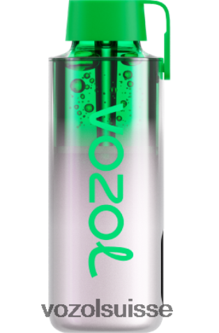 VOZOL Vape Sale - VOZOL NEON 10000 RD4TL2238 glace à la pomme aigre