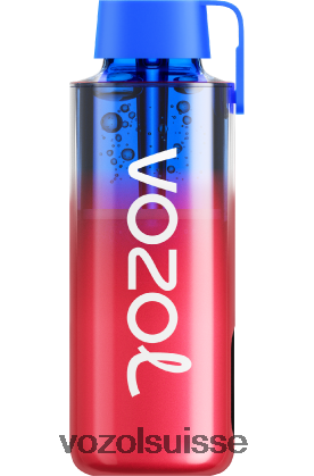 VOZOL Vape Shop - VOZOL NEON 10000 RD4TL2227 kiwi fraise surgelé