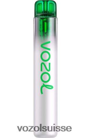 VOZOL Rechargeable - VOZOL NEON 800 RD4TL2255 pomme aigre