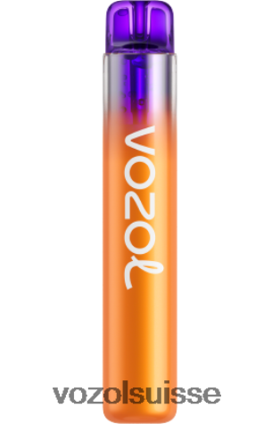 VOZOL Rechargeable - VOZOL NEON 800 RD4TL2275 fruit de la passion citron
