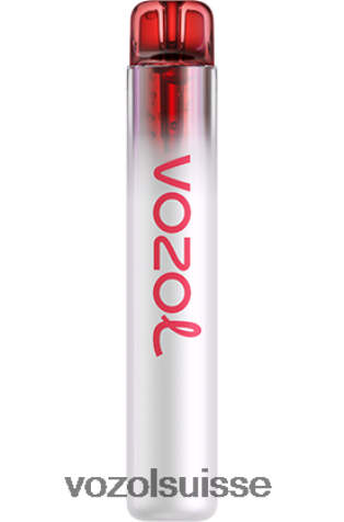 VOZOL Review - VOZOL NEON 800 RD4TL2259 bubble-gum à la pastèque