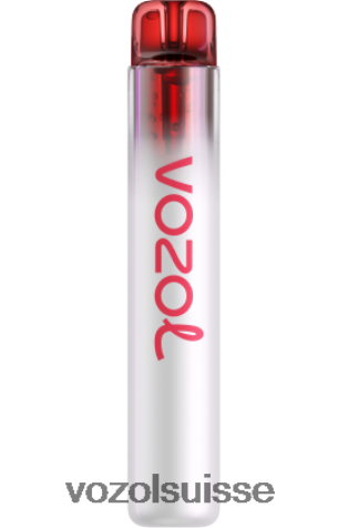 VOZOL Suisse - VOZOL NEON 800 RD4TL2261 pêche aux pommes
