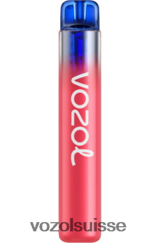 VOZOL Vape Price - VOZOL NEON 800 RD4TL2280 bubble gum fraise et canneberge