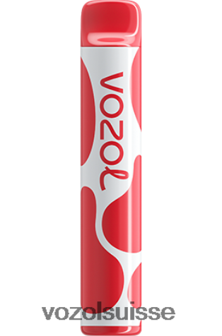 VOZOL Rechargeable - VOZOL JOYGO 600 RD4TL2385 litchi goyave pastèque