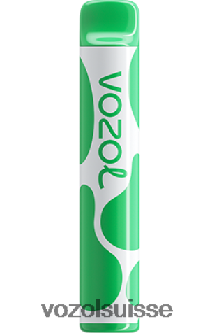 VOZOL Rechargeable - VOZOL JOYGO 600 RD4TL2395 glace à la pastèque