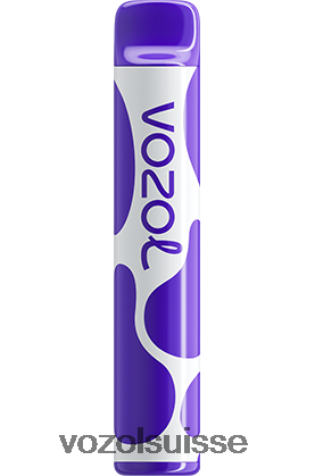 VOZOL Suisse - VOZOL JOYGO 600 RD4TL2381 glace aux raisins