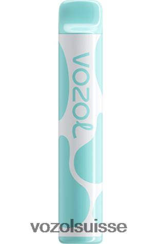 VOZOL Suisse - VOZOL JOYGO 600 RD4TL2391 bonbons arc-en-ciel