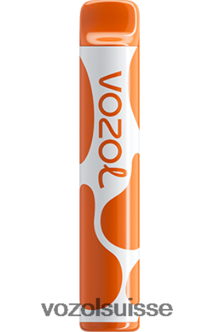 VOZOL Vape Avis - VOZOL JOYGO 600 RD4TL2384 amour 777