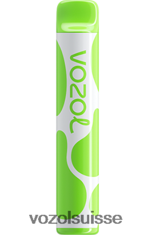 VOZOL Vape Price - VOZOL JOYGO 600 RD4TL2380 double pomme