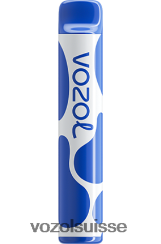 VOZOL Vape Price - VOZOL JOYGO 600 RD4TL2390 tempête de bleuets