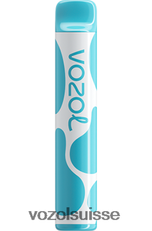 VOZOL Vape Shop - VOZOL JOYGO 600 RD4TL2377 myrtille, framboise aigre