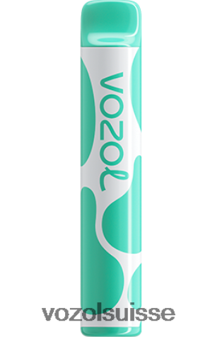 VOZOL Vape Shop - VOZOL JOYGO 600 RD4TL2387 menthol