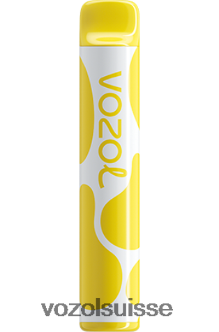 VOZOL Vape Suisse - VOZOL JOYGO 600 RD4TL2383 tarte au citron