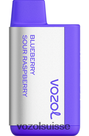 VOZOL Rechargeable - VOZOL TIGO 600 RD4TL2365 myrtille, framboise aigre