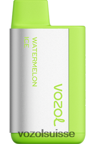 VOZOL Rechargeable - VOZOL TIGO 600 RD4TL2375 glace à la pastèque