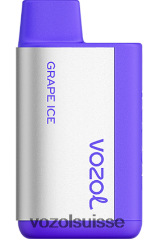 VOZOL Vape Shop - VOZOL TIGO 600 RD4TL2367 glace aux raisins
